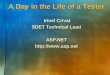 1 A Day in the Life of a Tester Irinel Crivat Irinel Crivat SDET Technical Lead ASP.NET