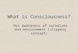 What is Consciousness? Our awareness of ourselves and environment (slippery concept)