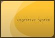 Digestive System. Introduction All living organisms must obtain nutrients from their environment to sustain life. These substances are used as raw materials