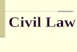 Civil Law. Regulate relations between individuals or groups of individuals Regulate everyday situations Marriage, divorce, contracts, real estate, insurance,