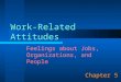 Work-Related Attitudes Chapter 5 Feelings about Jobs, Organizations, and People
