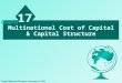Multinational Cost of Capital & Capital Structure 17 Chapter South-Western/Thomson Learning © 2003