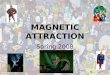 MAGNETIC ATTRACTION Spring 2008 The Nature of Magnetism Magnets are found everywhere…doorbells, TV’s, computers… Magnets were discovered in a region