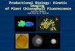 Productional Biology: Kinetic Imaging of Plant Chlorophyll Fluorescence Ladislav Nedbal modified by M. Bartak