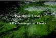 How do I Live? Life Processes of Plants. Objectives of Todays Lesson explanation of the process of photosynthesis using the formula for photosynthesis
