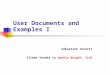 User Documents and Examples I Sébastien Incerti Slides thanks to Dennis Wrigth, SLAC