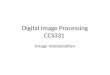 Digital Image Processing CCS331 Image Interpolation 1