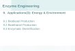 Enzyme Engineering 9. Applications(3): Energy & Environment 9.1 Biodiesel Production 9.2 Bioethanol Production 9.3 Enzymatic Denitrification