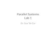 Parallel Systems Lab 1 Dr. Guy Tel-Zur. מטרות השיעור התחברות לשתי הפלטפורמות העיקריות של הקורס : –מחשב לינוקס וירטואלי