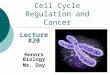 Cell Cycle Regulation and Cancer Lecture #20 Honors Biology Ms. Day