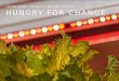 HUNGRY FOR CHANGE USING FOOD TO SOLVE PRISON ISSUES