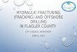 HYDRAULIC FRACTURING (FRACKING) AND OFFSHORE DRILLING IN FLAGLER COUNTY CITY COUNCIL WORKSHOP JUNE 9, 2015