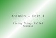 Animals – Unit 1 Living Things Called Animals. Content Learning Goals Students will be able to explain why some living things are considered “animals”