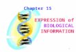 1 Chapter 15 EXPRESSION of BIOLOGICAL INFORMATION
