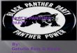 BLACK PANTHER PARTY By: Getulio Reis & Kevin Lima