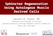 Sphincter Regeneration Using Autologous Muscle Derived Cells Kenneth M. Peters, MD Professor and Chairman of Urology Oakland University William Beaumont