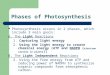 Phases of Photosynthesis Photosynthesis occurs in 2 phases, which include 3 main goals: A. The Light Reactions 1. Capturing light energy 2. Using the light