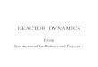 REACTOR DYNAMICS Fronts Spontaneous Oscillations and Patterns :