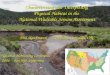 Characterizing and Interpreting Physical Habitat in the National Wadeable Stream Assessment Characterizing and Interpreting Physical Habitat in the National