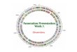 Overview. What is Annotation? Annotation is the process of determining the location and function of all identifiable genes in a genome. Annotation is