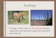 Ecology Ecology is the study of interactions among organisms and between organisms and their environment