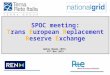 SPOC meeting: Trans European Replacement Reserve Exchange Amine Abada (RTE) 07 th Nov 2013