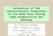 Estimation of the Characteristic Properties of the Weld Pool during High Productivity Arc Welding Dr. Patricio Mendez Prof. Thomas W. Eagar Massachusetts