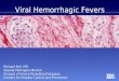 Viral Hemorrhagic Fevers Michael Bell, MD Special Pathogens Branch Division of Viral & Rickettsial Diseases Centers for Disease Control and Prevention