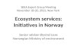 SEEA Expert Group Meeting November 18-20, 2013, New York Ecosystem services: Initiatives in Norway Senior adviser Øyvind Lone Norwegian Ministry of environment