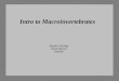 Intro to Macroinvertebrates Aquatic Ecology Dave Werner MATES