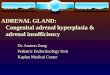 ADRENAL GLAND: Congenital adrenal hyperplasia & adrenal insufficiency Dr. Amnon Zung Pediatric Endocrinology Unit Kaplan Medical Center