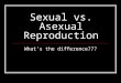 Sexual vs. Asexual Reproduction What’s the difference???