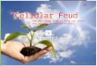 “Cellular Feud” The ONLY Game show to help you learn the process of PHOTOSYNTHESIS  sun.html