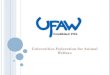 Universities Federation for Animal Welfare. W HAT IS UFAW? The Universities Federation for Animal Welfare (UFAW) is an independent registered charity