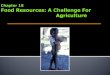 Food and Nutrition  World Food Problems  Principle Types of Agriculture  Challenges of Producing More Crops and Livestock  Environmental Impact