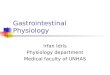 Gastrointestinal Physiology Irfan Idris Physiology department Medical faculty of UNHAS
