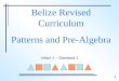 Belize Revised Curriculum Patterns and Pre-Algebra Infant 1 – Standard 1 1