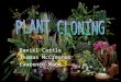 Daniel Cattle Thomas McCreanor Lawrence Mago. What is the Cloning of Plants The Cloning of Plants is a concept not new to the modern world. This concept