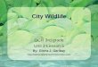 City Wildlife OCR 3rd grade Unit 2 Lesson 5 By: Gloria J. Garibay 