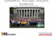 Synthetic Biology Project Examples 