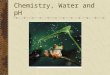 Chemistry, Water and pH. Atom Structure Matter Mass Space Made up of atoms Protons Neutrons Electrons