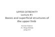 UPPER EXTREMITY Lecture #1 Bones and superficial structures of the upper limb Associate Professor Dr. Alexey Podcheko Spring 2015