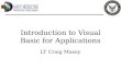 Introduction to Visual Basic for Applications LT Craig Maxey