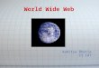 World Wide Web Aaditya Bhatia CS 147. Agenda History OSI model Hardware IP address DNS Server - Client Peer-to-peer Web-Sites Web programming Search engines