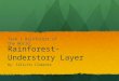 Rainforest- Understory Layer By: Felicity Clemente Task 1 Rainforest of the World