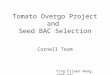 Tomato Overgo Project and Seed BAC Selection Cornell Team Ying Eileen Wang, 2005 PAG