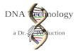 DNA Technology a Dr. Production. DNA Coiling: Replication: DNA  DNA Occurs during S phase of mitosis in reproducing cells only DNA template is copied