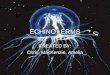 ECHINODERMS CREATED BY: Chris, MacKenzie, Amelia