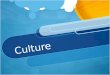Culture. Culture vs. Instinct Why is culture more important than instinct in determining human behavior? Instincts  innate (unlearned) patterns of behavior