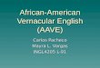 African-American Vernacular English (AAVE) Carlos Pacheco Mayra L. Vargas INGL4205 L-91